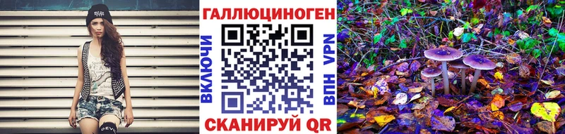blacksprut зеркало  Черняховск  Галлюциногенные грибы Cubensis 