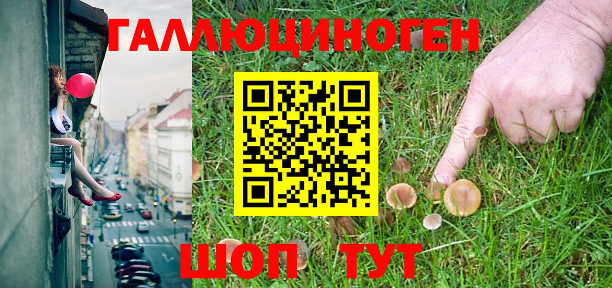 Галлюциногенные грибы Psilocybine cubensis  наркошоп  Черняховск 