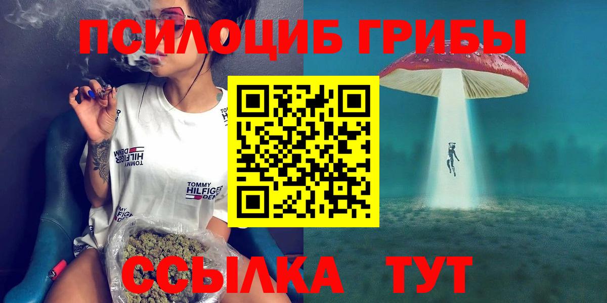 Псилоцибиновые грибы GOLDEN TEACHER Черняховск