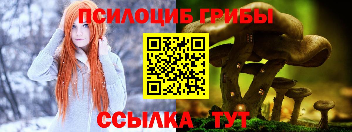 Черняховск  Псилоцибиновые грибы Psilocybine cubensis  Псилоцибиновые грибы мицелий  Вход с VPN 