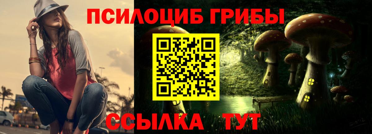 Псилоцибиновые грибы прущие грибы Черняховск